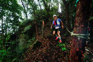 BIB: 
                            <button type="button" onclick="openModal(26197819)" class="btn btn-primary btn-sm float-right btn-popup" data-toggle="modal" data-target=".modal-high-quality">
                        <i class="fas fa-shopping-cart"></i> Add to Cart
                    </button>
                                            <button type="button" onclick="isThisMe(26197819, true)" class="btn btn-success btn-sm float-right btn-popup btn-isme hidden" data-toggle="tooltip" data-placement="bottom" title="นี่คือรูปของคุณใช่ไหม คลิกที่นี่เพื่อเอาเข้าอัลบั้ม">
                        <i class="fas fa-plus"></i> Add to album
                    </button>
                    <button type="button" onclick="isThisMe(26197819, false)" class="btn btn-warning btn-sm float-right btn-popup btn-isnotme hidden">
                        <i class="fas fa-ban"></i> Remove from album
                    </button>